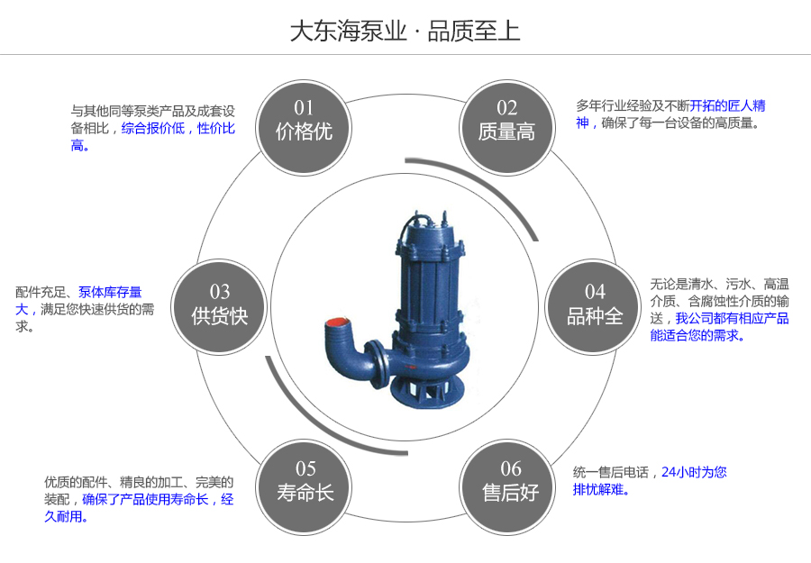 大東海泵業(yè)QW型潛水泵質(zhì)量保證圖