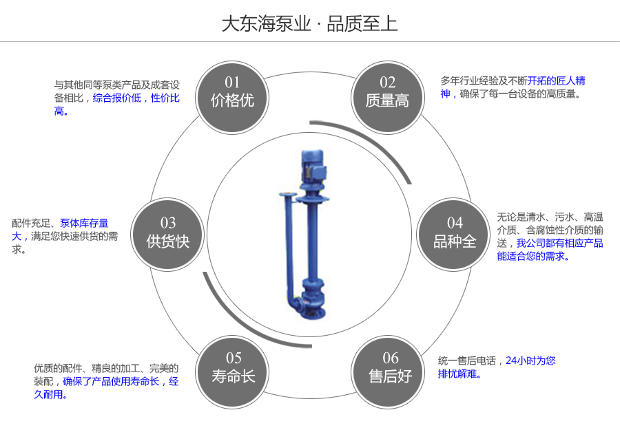 大東海泵業(yè)液下式排污泵質量保證圖