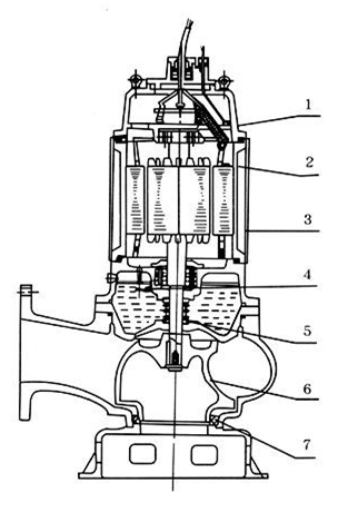 排污泵結(jié)構圖